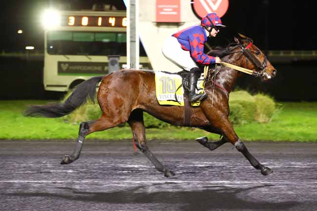 Photo d'arrivée de la course pmu PRIX D'ALES à PARIS-VINCENNES le Mardi 5 décembre 2023