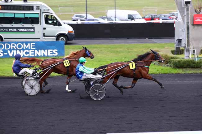 Photo d'arrivée de la course pmu PRIX DES BEGONIAS à PARIS-VINCENNES le Jeudi 7 décembre 2023