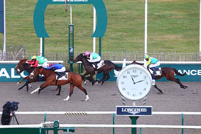 Photo d'arrivée de la course pmu PRIX DU CARREFOUR DU CHENE SEC à CHANTILLY le Jeudi 7 décembre 2023