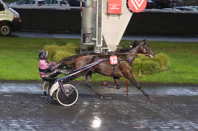 Photo d'arrivée de la course pmu PRIX NARQUOIS à PARIS-VINCENNES le Samedi 9 décembre 2023