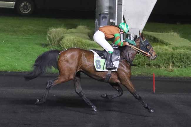 Photo d'arrivée de la course pmu PRIX D'HIESVILLE à PARIS-VINCENNES le Samedi 9 décembre 2023