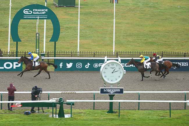 Photo d'arrivée de la course pmu PRIX DU CHEMIN DU VIADUC à CHANTILLY le Samedi 9 décembre 2023
