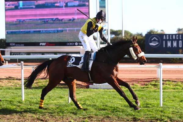 Photo d'arrivée de la course pmu PRIX KATKO à CAGNES-SUR-MER le Lundi 11 décembre 2023