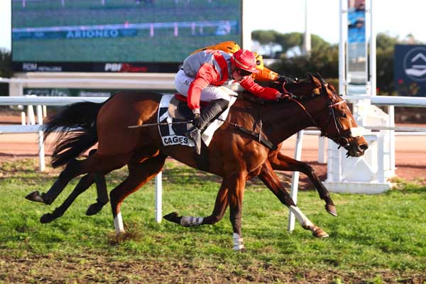 Photo d'arrivée de la course pmu PRIX DU COL DE FENESTRE à CAGNES-SUR-MER le Lundi 11 décembre 2023