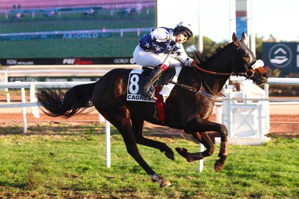 Photo d'arrivée de la course pmu PRIX DE CARDIFF à CAGNES-SUR-MER le Lundi 11 décembre 2023