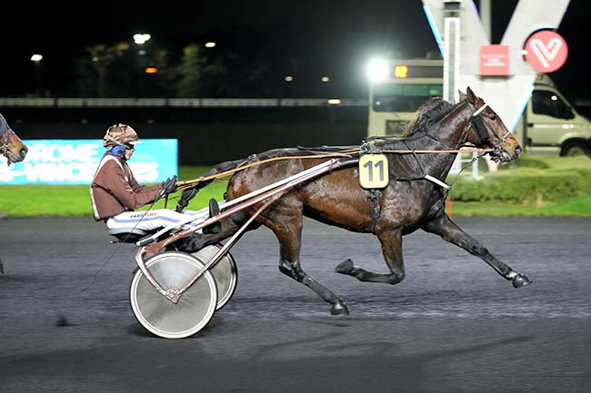 Photo d'arrivée de la course pmu PRIX DE GUERET à PARIS-VINCENNES le Lundi 11 décembre 2023