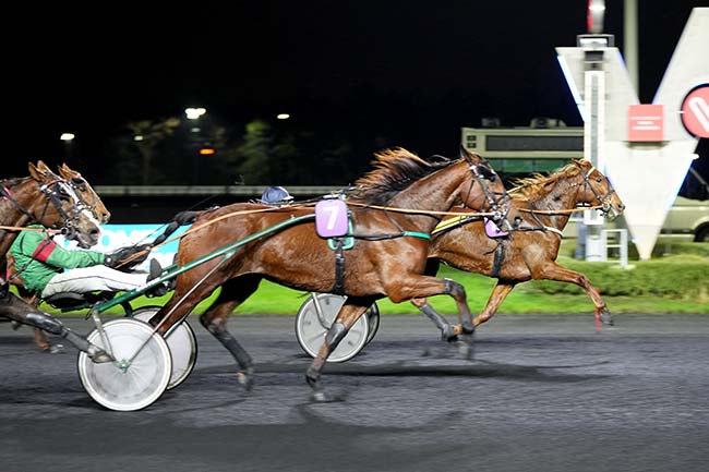 Photo d'arrivée de la course pmu PRIX DE BAZAS à PARIS-VINCENNES le Lundi 11 décembre 2023