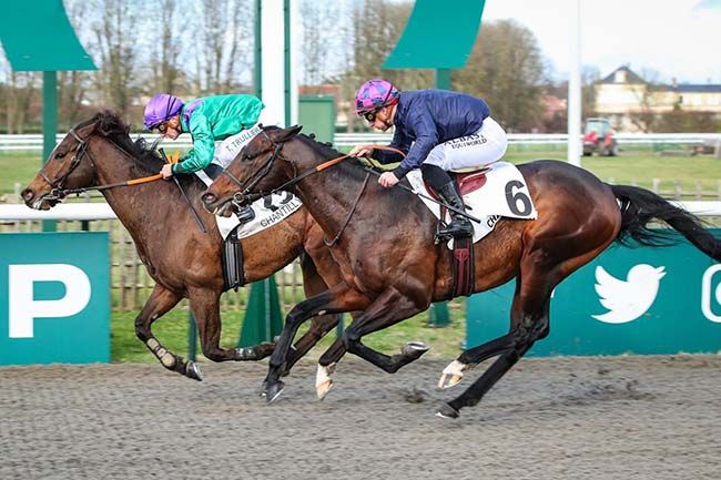 Photo d'arrivée de la course pmu PRIX DES PISTES DE LAMORLAYE à CHANTILLY le Mardi 12 décembre 2023