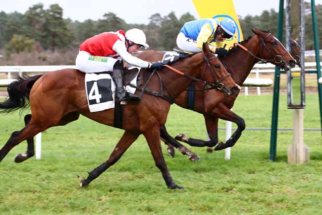 Photo d'arrivée de la course pmu PRIX DE FONTAINEBLEAU CHEVAL (PRIX DES ROSEAUX) à FONTAINEBLEAU le Mardi 12 décembre 2023