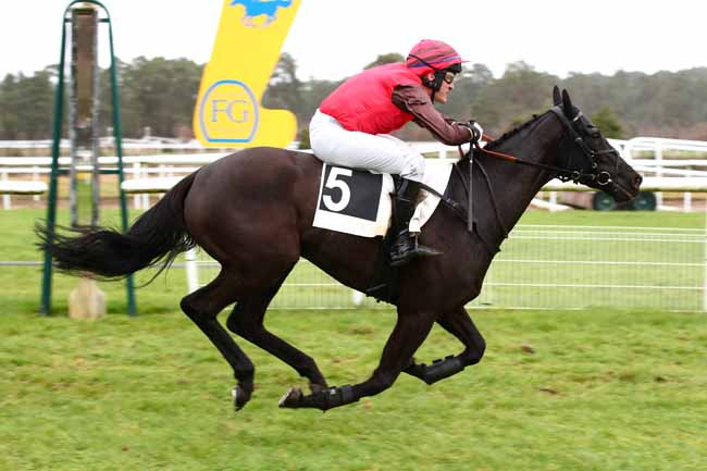 Photo d'arrivée de la course pmu PRIX RICHARD D'AYGUEVIVES à FONTAINEBLEAU le Mardi 12 décembre 2023