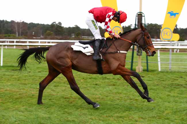 Photo d'arrivée de la course pmu PRIX DE LA VILLE D'AVON à FONTAINEBLEAU le Mardi 12 décembre 2023