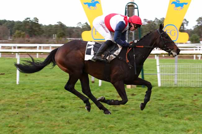 Photo d'arrivée de la course pmu PRIX BARON MAURICE DE NEXON à FONTAINEBLEAU le Mardi 12 décembre 2023