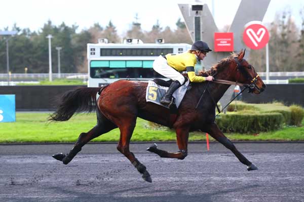 Photo d'arrivée de la course pmu PRIX DE LANGEAC à PARIS-VINCENNES le Mardi 12 décembre 2023