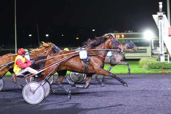 Photo d'arrivée de la course pmu PRIX DE FLORAC à PARIS-VINCENNES le Mardi 12 décembre 2023