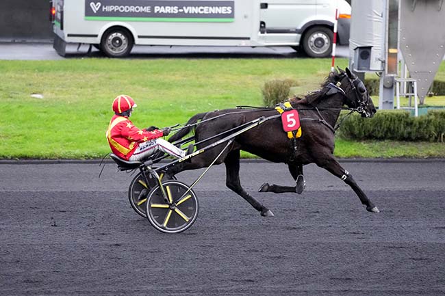 Photo d'arrivée de la course pmu PRIX DE DOMFRONT à PARIS-VINCENNES le Mercredi 13 décembre 2023