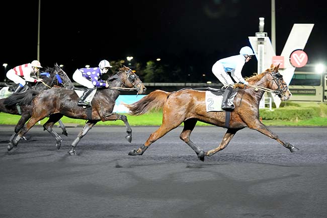 Photo d'arrivée de la course pmu PRIX DU GRAND FOUGERAY à PARIS-VINCENNES le Jeudi 14 décembre 2023