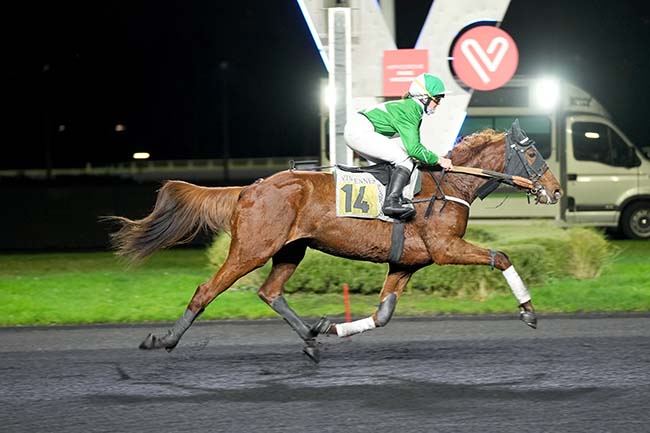 Photo d'arrivée de la course pmu PRIX DE VALDAMPIERRE à PARIS-VINCENNES le Jeudi 14 décembre 2023