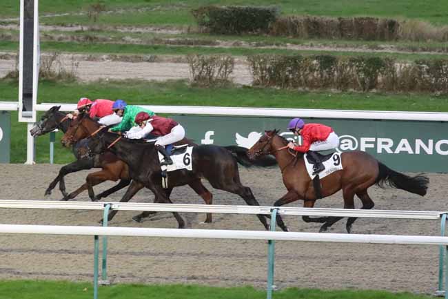Photo d'arrivée de la course pmu PRIX DE ROIVILLE à DEAUVILLE le Vendredi 15 décembre 2023