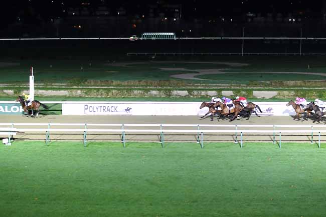 Photo d'arrivée de la course pmu PRIX DE PUTANGES à DEAUVILLE le Samedi 16 décembre 2023