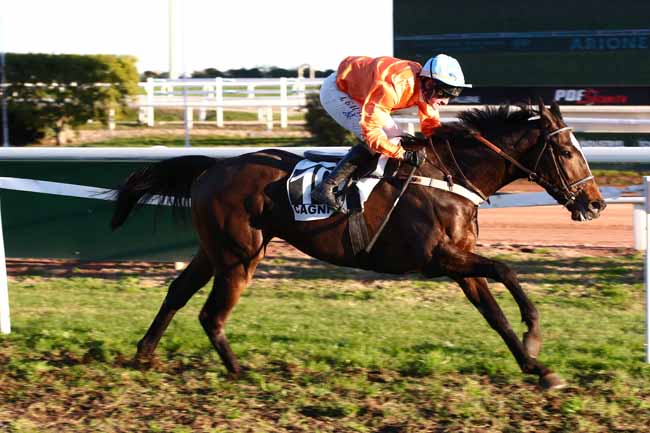 Photo d'arrivée de la course pmu PRIX D'AUTEUIL à CAGNES-SUR-MER le Lundi 18 décembre 2023