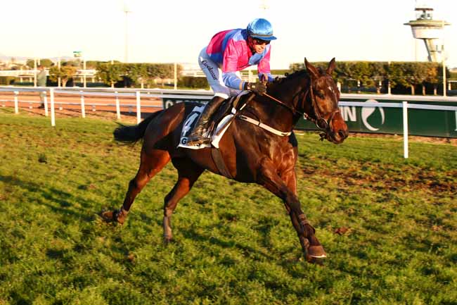 Photo d'arrivée de la course pmu PRIX JEAN-YVES BEAURAIN à CAGNES-SUR-MER le Lundi 18 décembre 2023