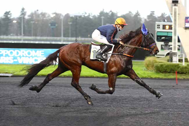 Photo d'arrivée de la course pmu PRIX DE COLLIOURE à PARIS-VINCENNES le Mercredi 20 décembre 2023