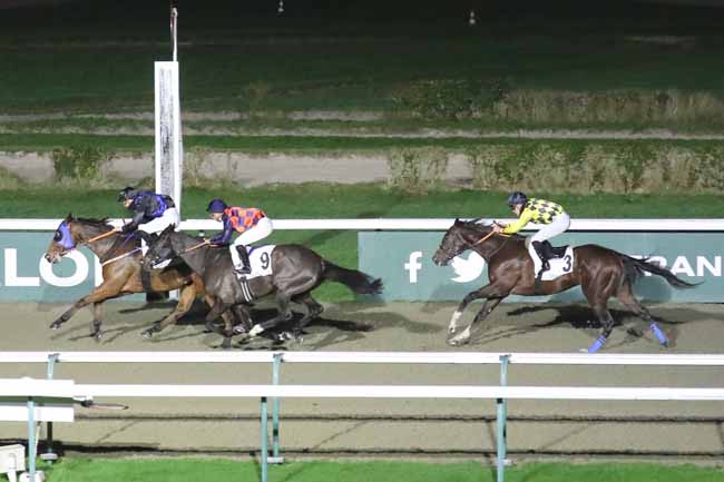 Photo d'arrivée de la course pmu PRIX DU CHALET MOZIN à DEAUVILLE le Mercredi 20 décembre 2023