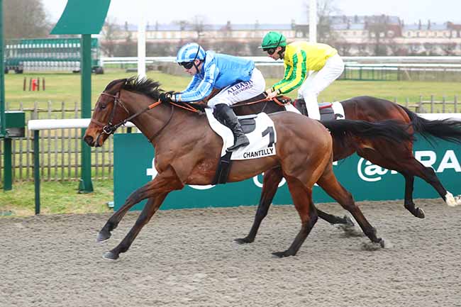 Photo d'arrivée de la course pmu PRIX DE L'ANCIEN POTAGER à CHANTILLY le Vendredi 22 décembre 2023