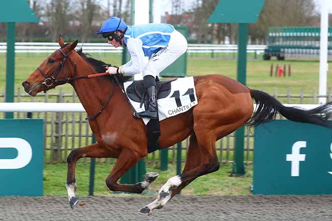Photo d'arrivée de la course pmu PRIX DU JARDIN DES CASCADES à CHANTILLY le Vendredi 22 décembre 2023
