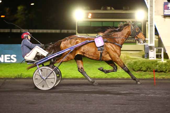 Photo d'arrivée de la course pmu PRIX DU MERLERAULT à PARIS-VINCENNES le Samedi 23 décembre 2023