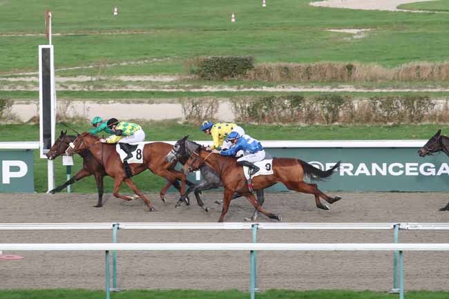 Photo d'arrivée de la course pmu PRIX DE L'HERMERAIE à DEAUVILLE le Mardi 26 décembre 2023
