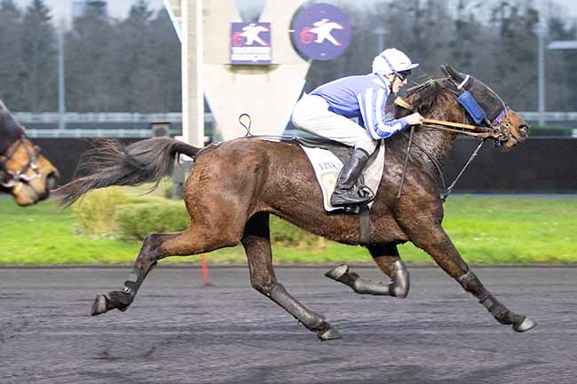 Photo d'arrivée de la course pmu PRIX DE THOISSEY à PARIS-VINCENNES le Mardi 26 décembre 2023