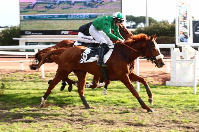 Photo d'arrivée de la course pmu PRIX GOODEA à CAGNES-SUR-MER le Mercredi 27 décembre 2023