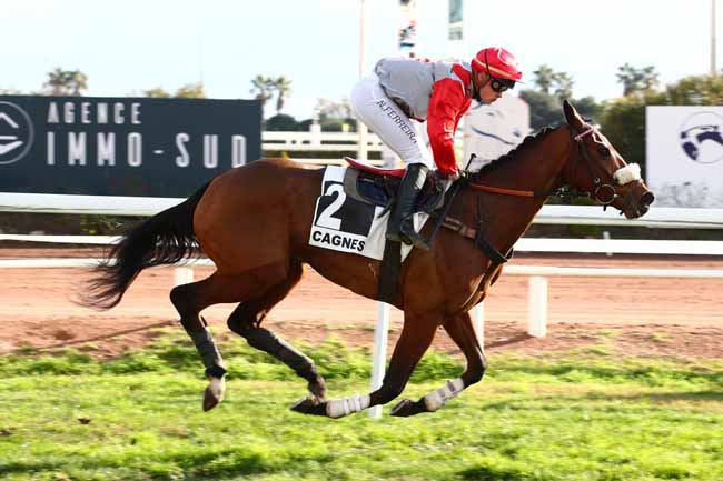 Photo d'arrivée de la course pmu PRIX DU PAYS DE LOIRE à CAGNES-SUR-MER le Mercredi 27 décembre 2023
