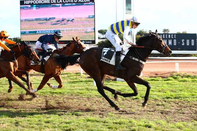 Photo d'arrivée de la course pmu PRIX DE L'AQUITAINE à CAGNES-SUR-MER le Mercredi 27 décembre 2023