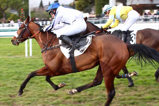 Photo d'arrivée de la course pmu PRIX DU CAP CAMARAT à CAGNES-SUR-MER le Mercredi 27 décembre 2023