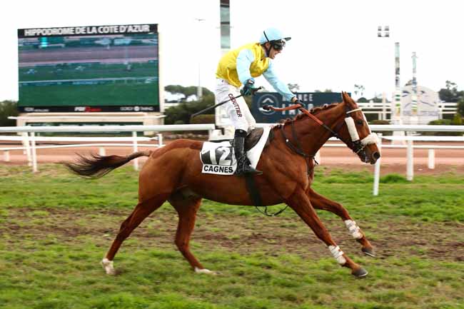 Photo d'arrivée de la course pmu PRIX HENRI VERAN à CAGNES-SUR-MER le Mercredi 27 décembre 2023