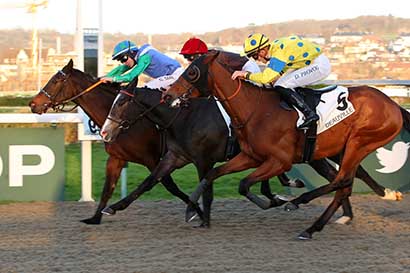 Photo d'arrivée de la course pmu PRIX DE LA PIERRE AUX FEES à DEAUVILLE le Jeudi 28 décembre 2023