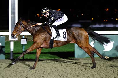 Photo d'arrivée de la course pmu PRIX VODKATO à DEAUVILLE le Jeudi 28 décembre 2023