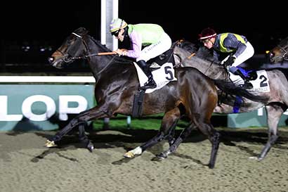 Photo d'arrivée de la course pmu PRIX PORLEZZA à DEAUVILLE le Jeudi 28 décembre 2023