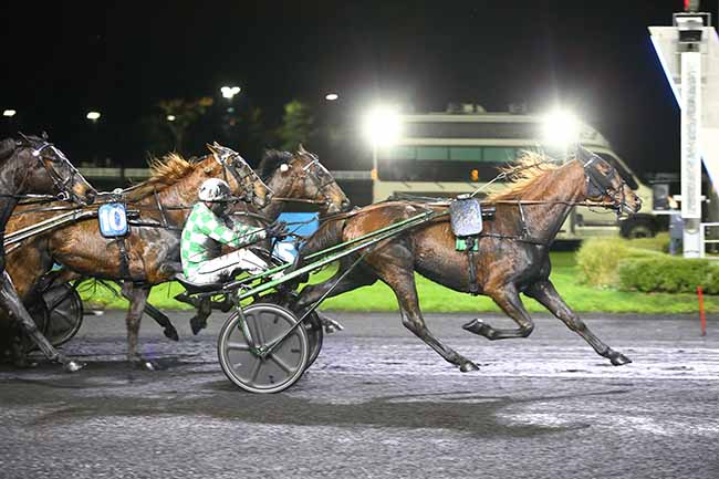 Photo d'arrivée de la course pmu PRIX DE SAINTE-MARIE-DU-MONT à PARIS-VINCENNES le Vendredi 29 décembre 2023