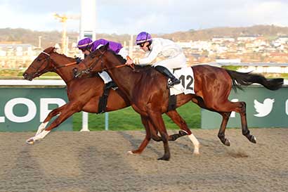 Photo d'arrivée de la course pmu PRIX DE MARTAINVILLE à DEAUVILLE le Vendredi 29 décembre 2023