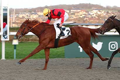 Photo d'arrivée de la course pmu PRIX D'EPREVILLE à DEAUVILLE le Vendredi 29 décembre 2023