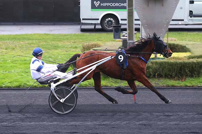 Photo d'arrivée de la course pmu PRIX DE BRIVE-LA_GAILLARDE à PARIS-VINCENNES le Samedi 30 décembre 2023