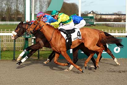 Photo d'arrivée de la course pmu PRIX DE LA REMISE DES LILAS à CHANTILLY le Samedi 30 décembre 2023