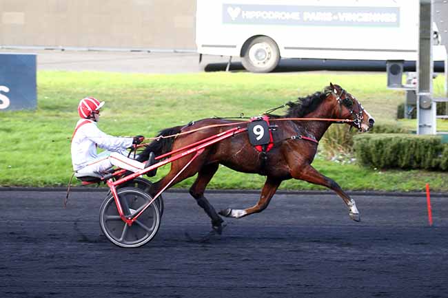 Photo d'arrivée de la course pmu PRIX DE BONNEUIL à PARIS-VINCENNES le Lundi 1 janvier 2024