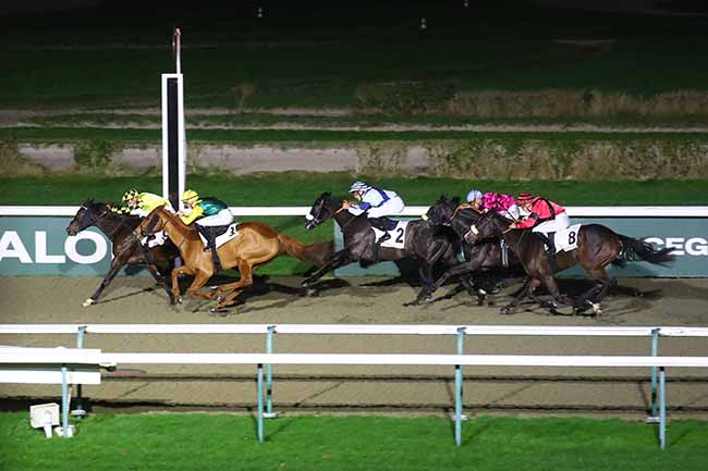 Photo d'arrivée de la course pmu PRIX EDGAR ROLFE (CHAMPIONNAT 