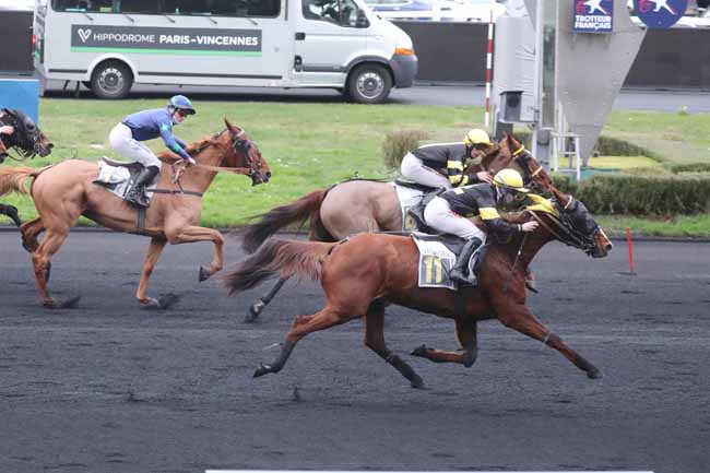 Photo d'arrivée de la course pmu PRIX DE SULLY à PARIS-VINCENNES le Samedi 6 janvier 2024