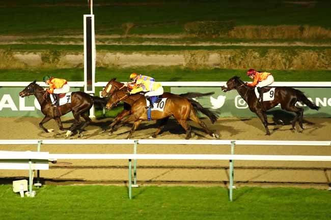 Photo d'arrivée de la course pmu PRIX DE LA SEULLES à DEAUVILLE le Samedi 6 janvier 2024