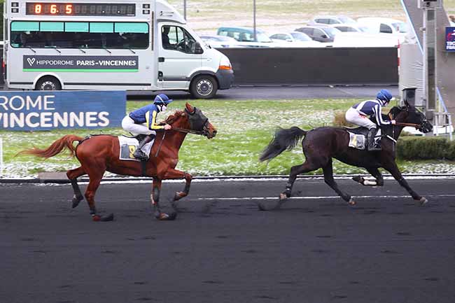 Photo d'arrivée de la course pmu PRIX DE BOULAY à PARIS-VINCENNES le Mardi 9 janvier 2024